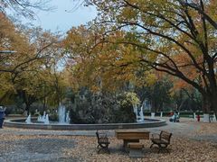 -山东大学(趵突泉校区)