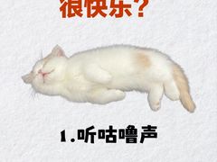 -荔康动物医院(康王北路店)