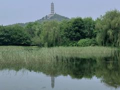 -北坞公园