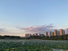 -丁香湖公园