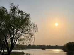 -贡湖湾湿地公园