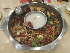 美蛙鱼头火锅-渔香岛美蛙鱼头火锅(威清路店)