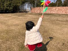 -滆湖低碳生态公园