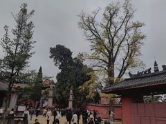 -金堂县云顶石城风景区