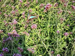 -龙吟九品(青龙山庄店)