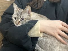 -爱侣宠医·鹦鹉专科·小型哺乳类·异宠专科(灵石路店)