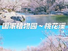 -国家植物园