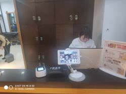 -YESIDO椰岛造型
