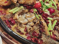 -老板恋上鱼(恒隆广场店)