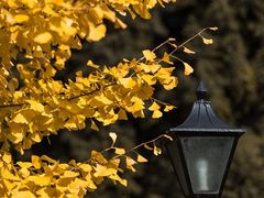 -上海市龙华烈士陵园