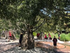 -墨尔本皇家植物园