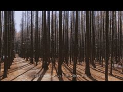 -山王坪喀斯特国家生态公园