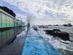 -枸杞岛