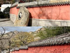 -青岛崂山太清宫