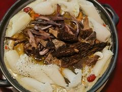 -蘑统田下·野生菌火锅
