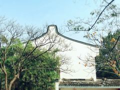 -龙华寺