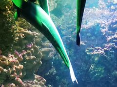 -海合安青岛极地海洋公园