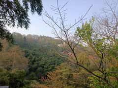 -莫干山风景区
