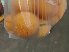 -西郊国际农产品交易中心