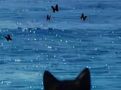 -南昌海洋公园