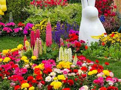 -上海共青森林公园