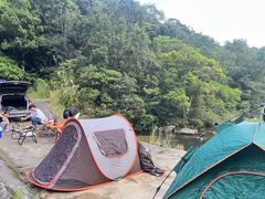 -海南热带雨林国家公园吊罗山景区