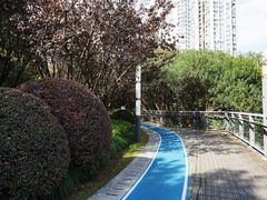 -苏州河梦清园环保主题公园