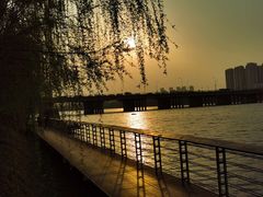 -长白岛森林公园