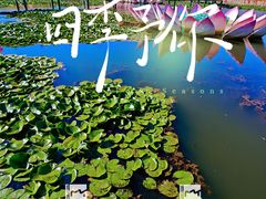 -帽儿山风景区