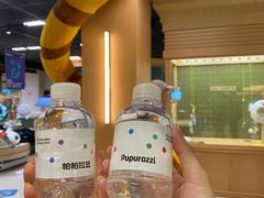 -帕帕拉兹宠物(亚洲旗舰店)