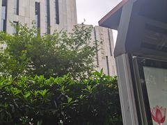 -江苏省美术馆(长江路新馆)