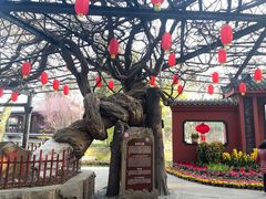 -老桂湖公园-杨升庵博物馆