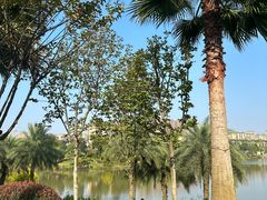 -枫香湖儿童公园
