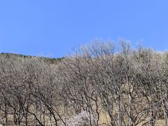 -北京西山国家森林公园