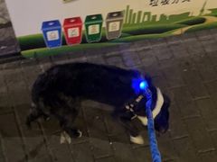 -打酱友•斑鱼海鲜粥火锅(吴桥店)