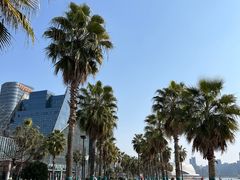 -金沙湖公园