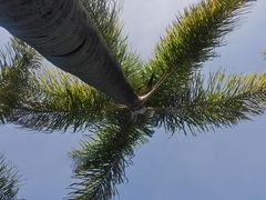 -南宁南湖公园