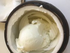 -志龙皇冠吃货椰子铺