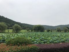 -龙寺生态园