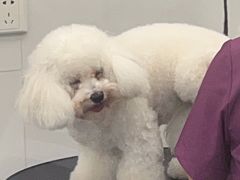 -美联众合24小时·皮肤科·外科·全科诊疗中心(华苑分院)