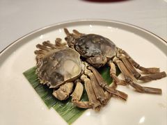 -上海老饭店(北京分店)