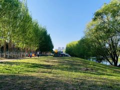 -长白岛森林公园