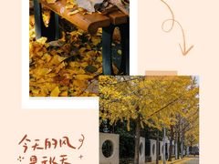 -黄兴公园