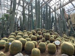 -南山植物园