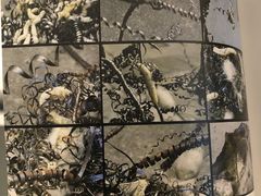 -上海当代艺术博物馆