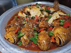 黄鱼烧豆腐-蓝田印象