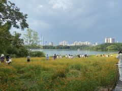 -海珠湖公园