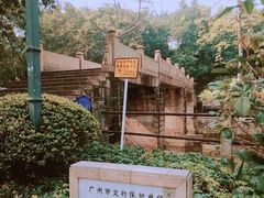 -晓港公园