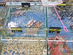-明记海鲜大排档(巽寮湾店)