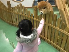 -藦茜花园宠物主题亲子互动体验馆(国顺东路店)
